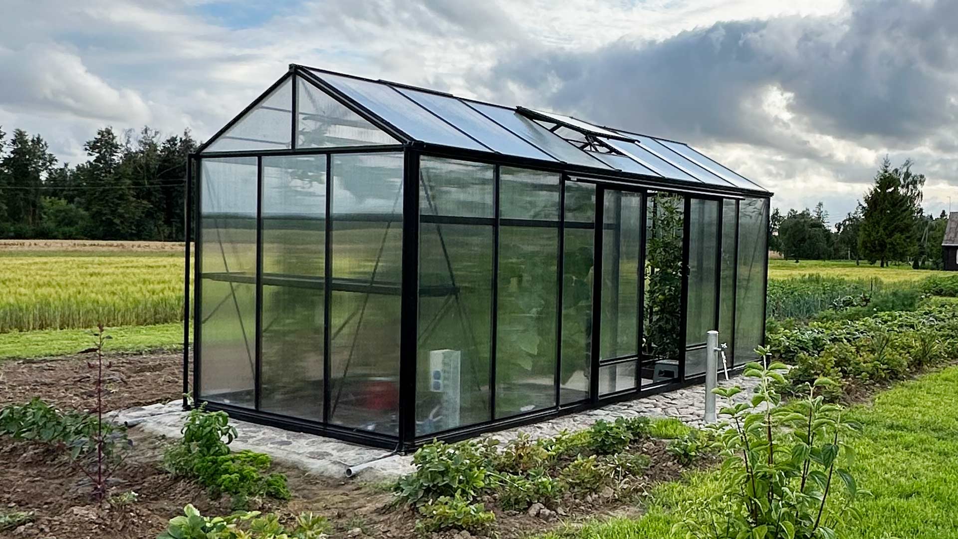 VENTUS šiltnamis 236 x 530 x 201 RAL9005 su 10 mm polikarbonatu Gardenis
