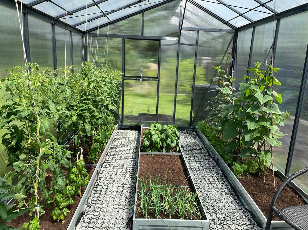 JUNA polikarbonatinis šiltnamis | Gardenis