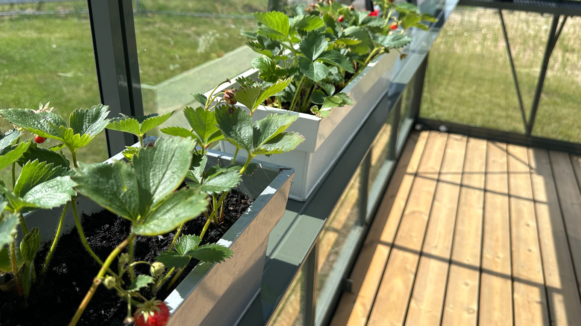 Aliuminė šiltnamio lentyna 20 cm dažyta | Gardenis