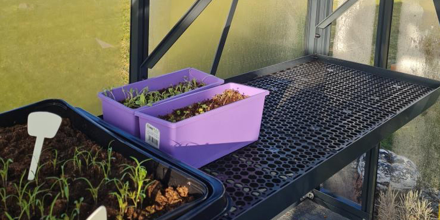 Šiltnamio lentyna aliuminė 40 cm su įdėklais | Gardenis
