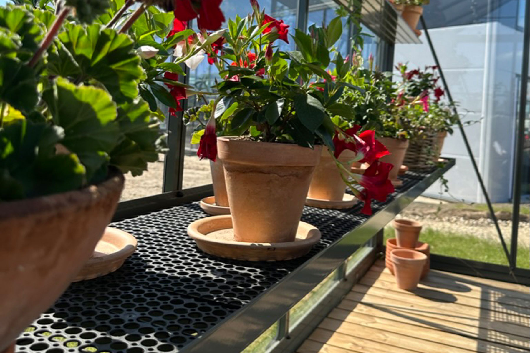 Greenhouse shelf aluminium 40 cm wide