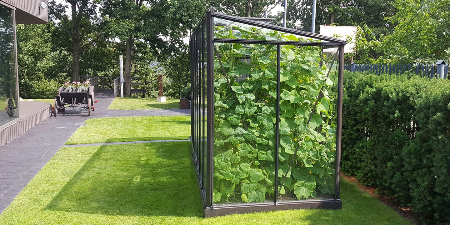 MARIUS vienšlaitis stiklinis šiltnamis rudas rėmas | Gardenis