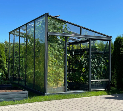 Vienšlaitis stiklinis šiltnamis MARIUS | Gardenis