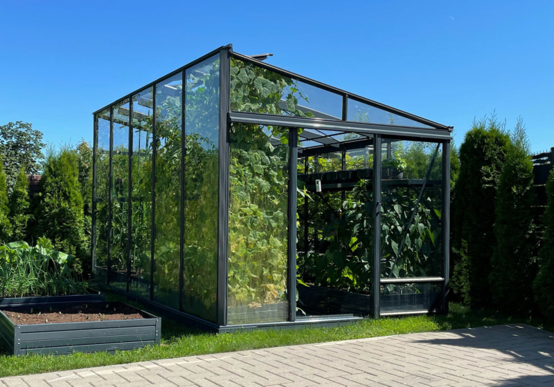 Vienšlaitis stiklinis šiltnamis MARIUS | Gardenis Vienšlaitis stiklinis šiltnamis MARIUS | Gardenis