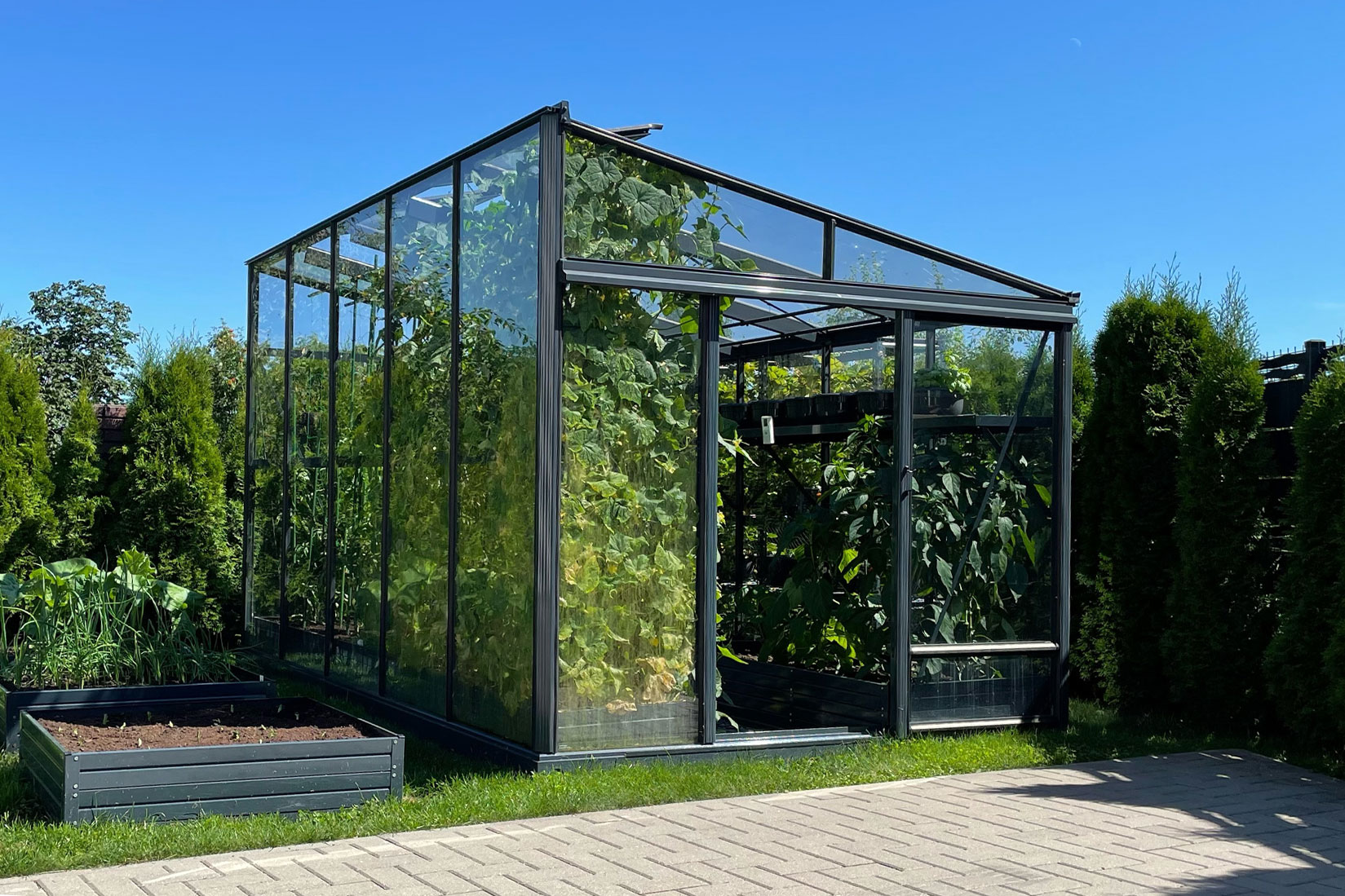 Vienšlaitis stiklinis šiltnamis MARIUS | Gardenis