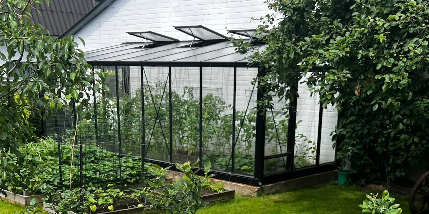 Priesienis stiklinis šiltnamis MURUS grūdintas stiklas | Gardenis
