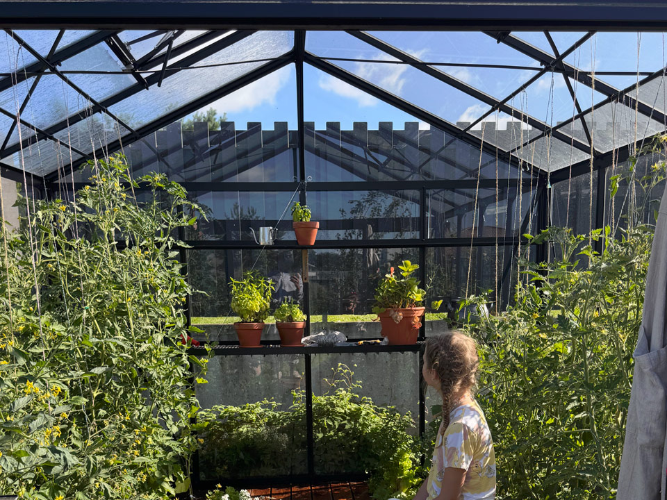 Plant-support-tubes-Gardenis-greenhouse