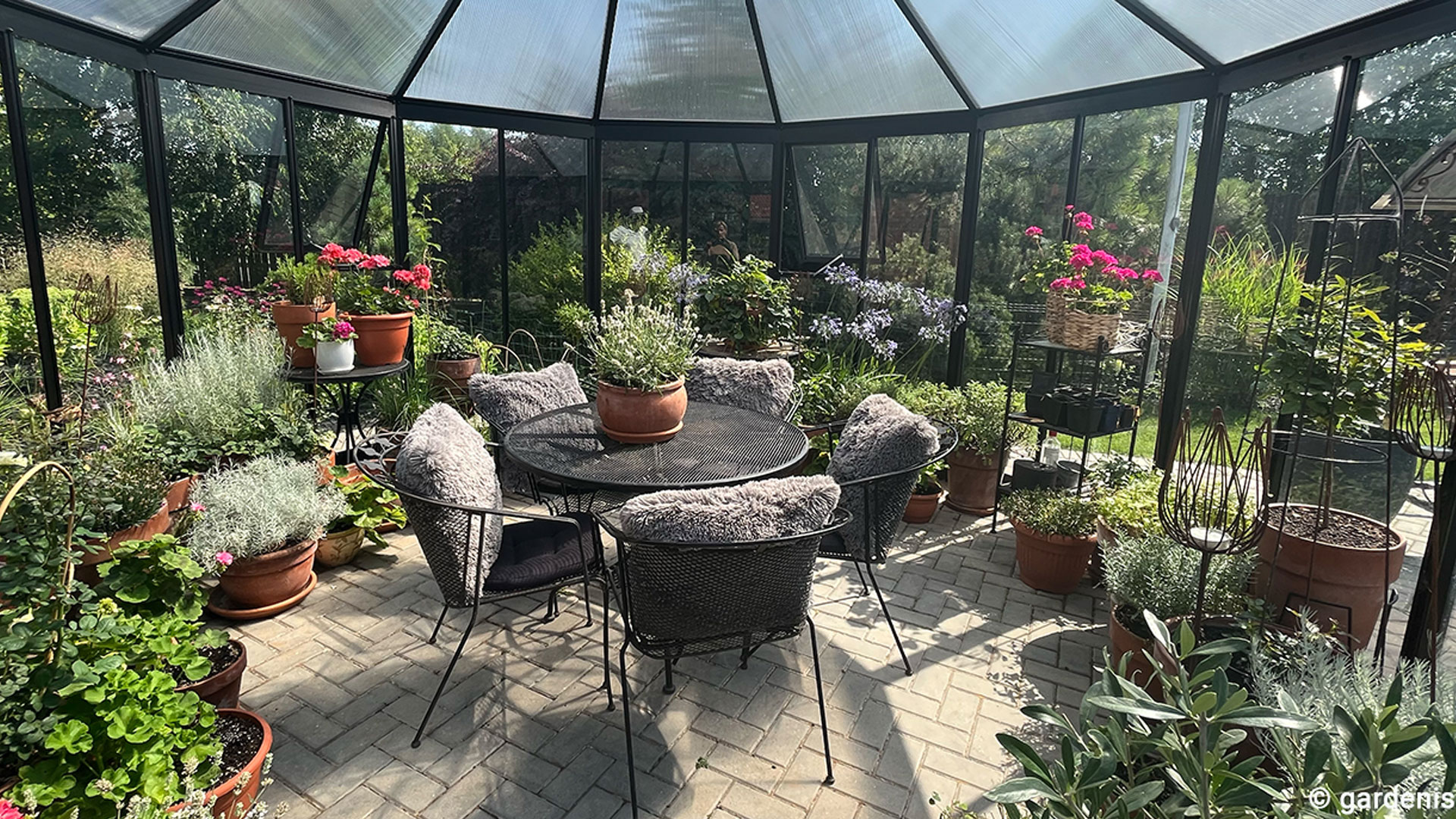 RINGO-garden-orangery-black-Gardenis