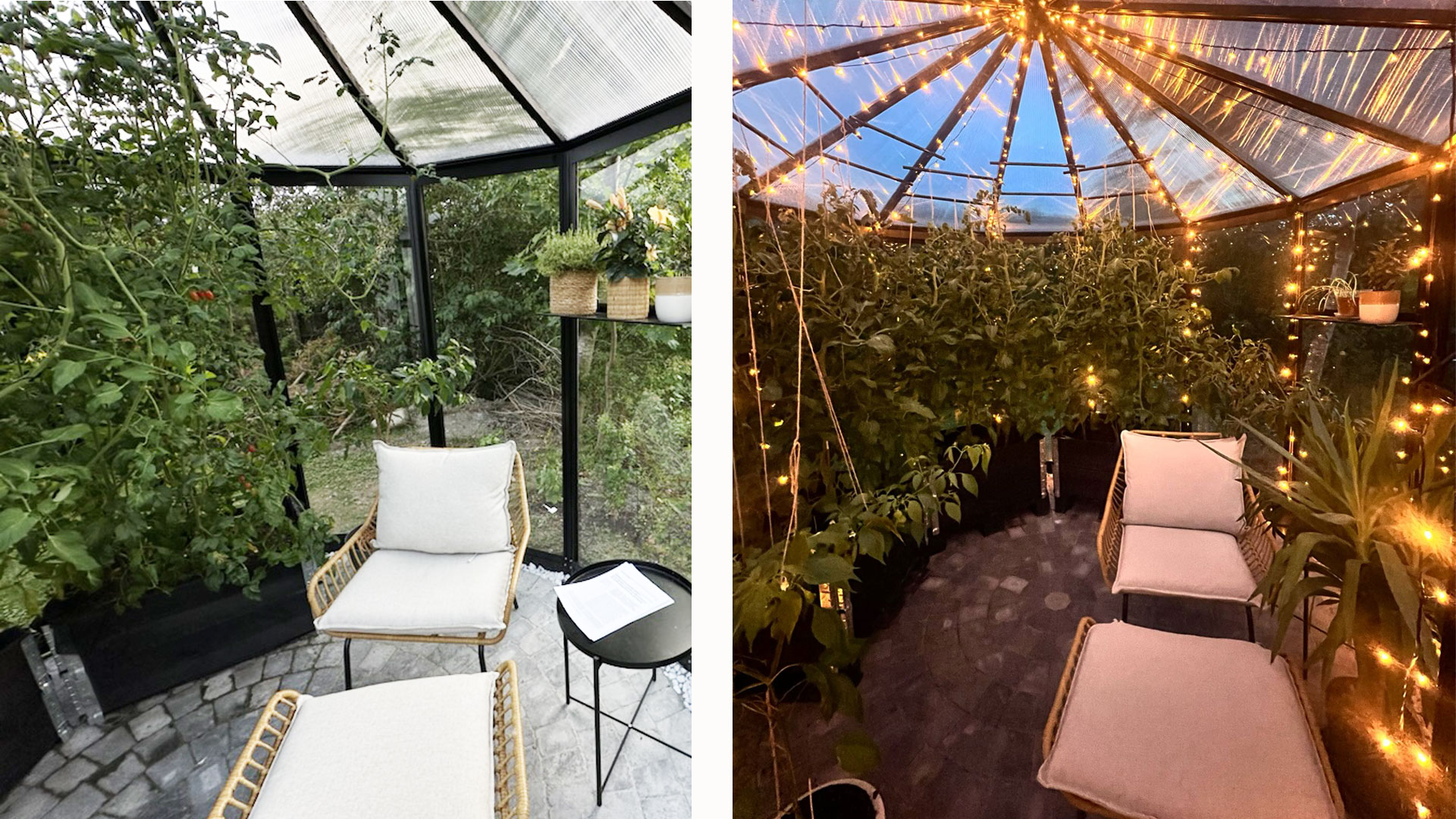 Ringo-day-night-orangery-Gardenis