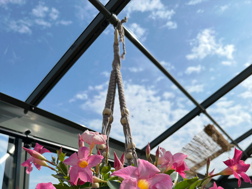 Tubes-to-hang-greenhouse-plant-pots-Gardenis