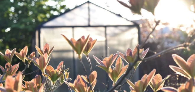 Šiltnamių verandų stoginių priežiūra šiltnamio valymas tvarkyti šiltnamius, stogines, verandas vasarai pasibaigus Gardenis