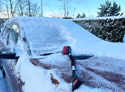 Žiemą stoginė automobilio apsauga Gardenis