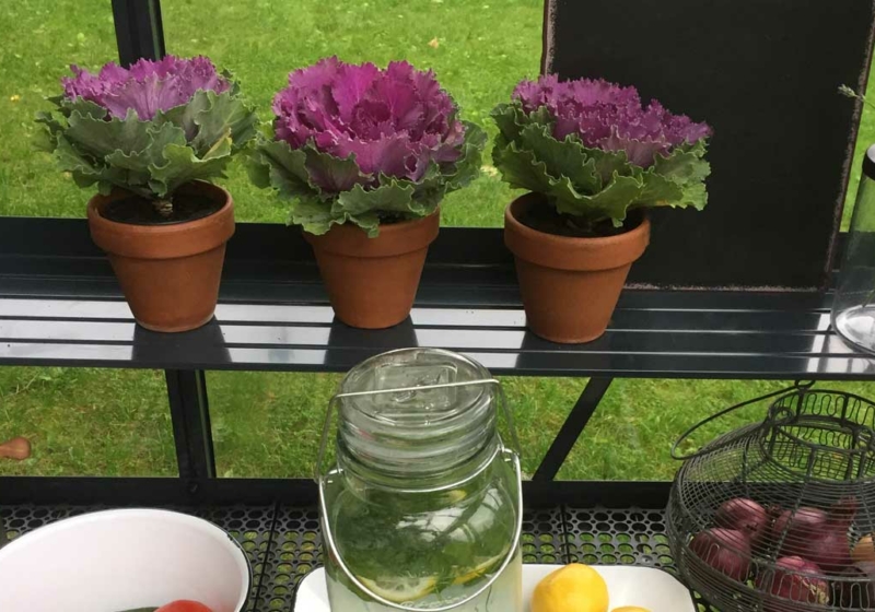 Greenhouse Accessories