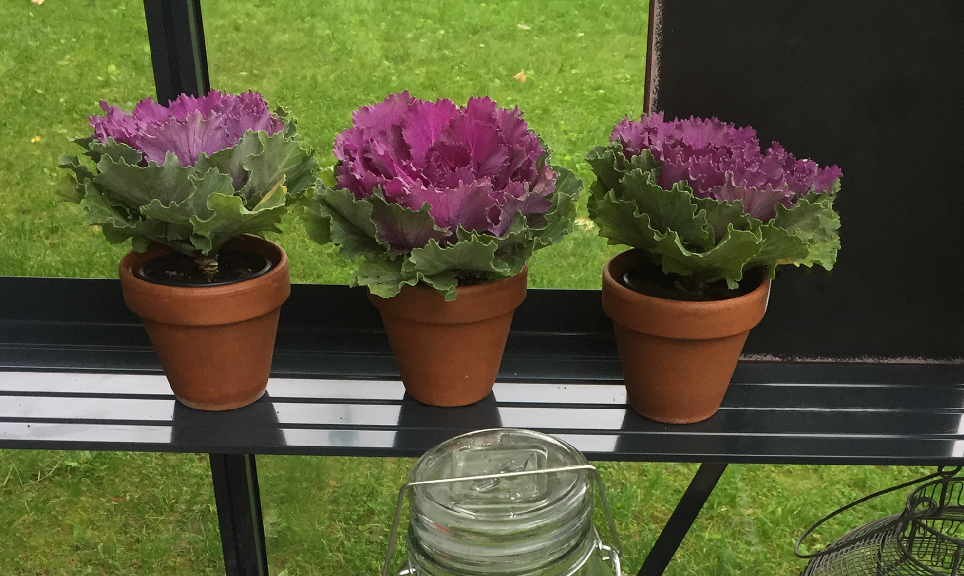 Priedai-siltnamiui-lentynele-Gardenis PRIEDAI šiltnamiams