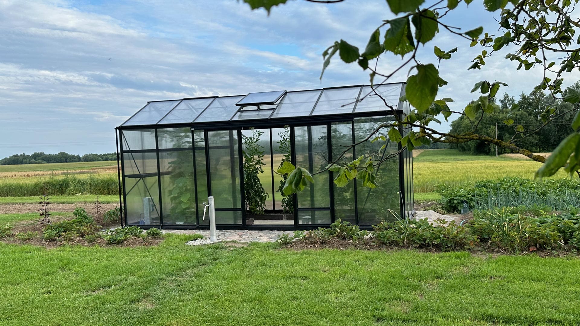 VENTUS šiltnamis 236 x 530 x 201 RAL9005 su 10 mm polikarbonatu Gardenis