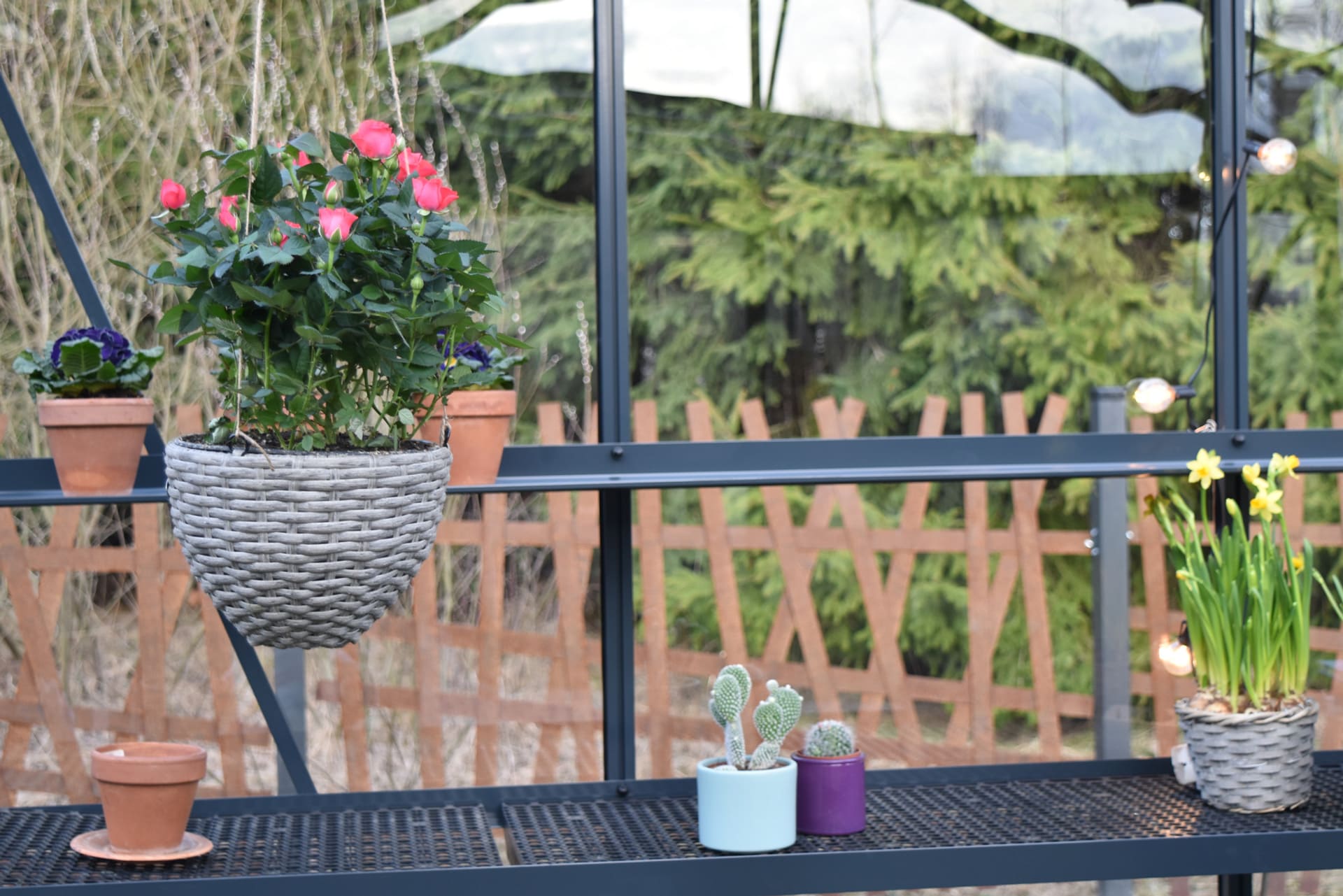 Šiltnamio lentyna aliuminė 40 cm su įdėklais | Gardenis