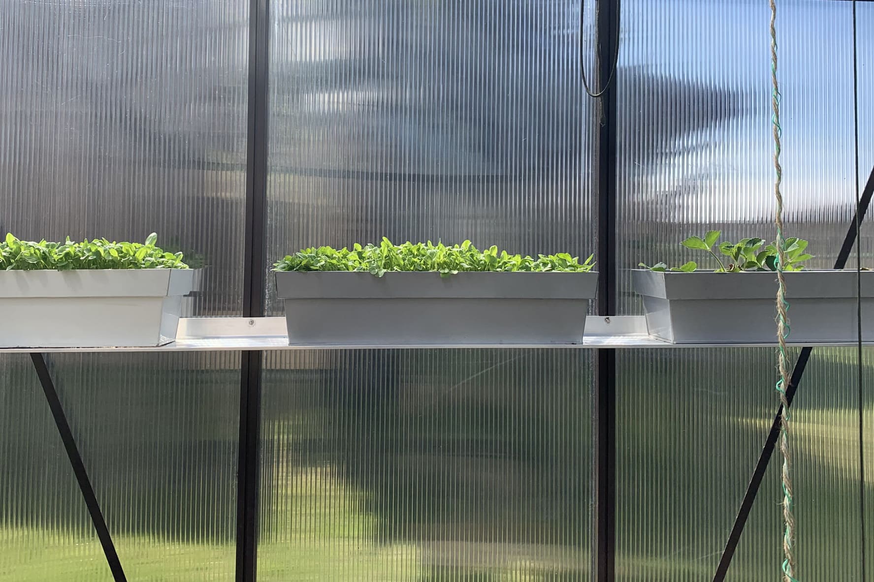Aliuminė šiltnamio lentyna 20 cm nedažyta | Gardenis