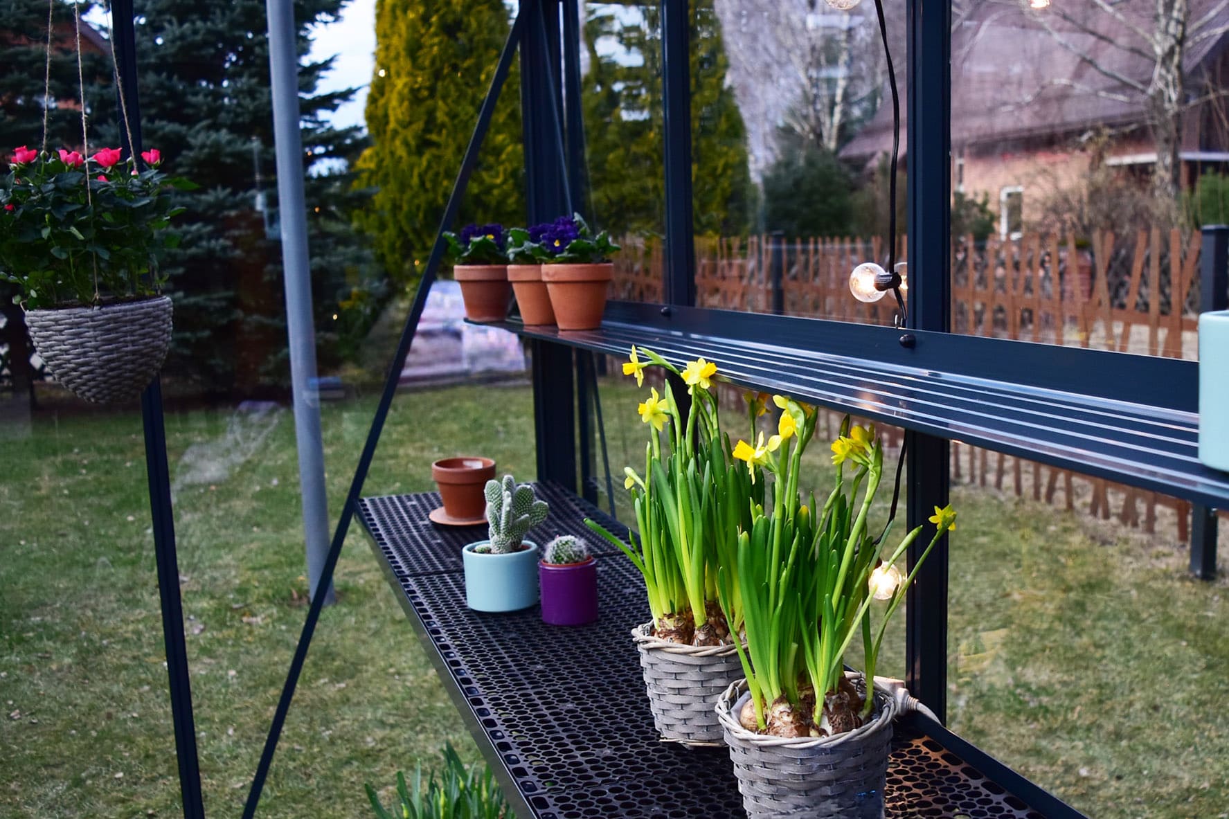 Aliuminė šiltnamio lentyna 20 cm dažyta | Gardenis