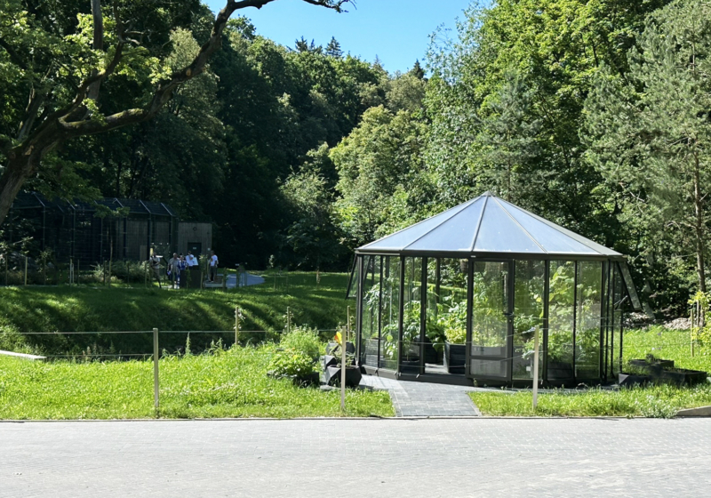Siltnamis-RINGO-Kauno-Zoo-Gardenis Siltnamis-RINGO-Kauno-Zoo-Gardenis